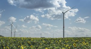 A wind farm overlooking a sunflower field