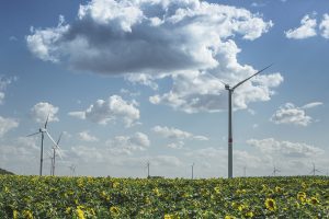 A wind farm overlooking a sunflower field
