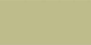 A solid green block of color serving as a placeholder for a map