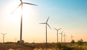 A wind farm at dawn