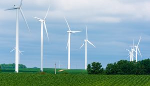 A wind farm overlooking young crops