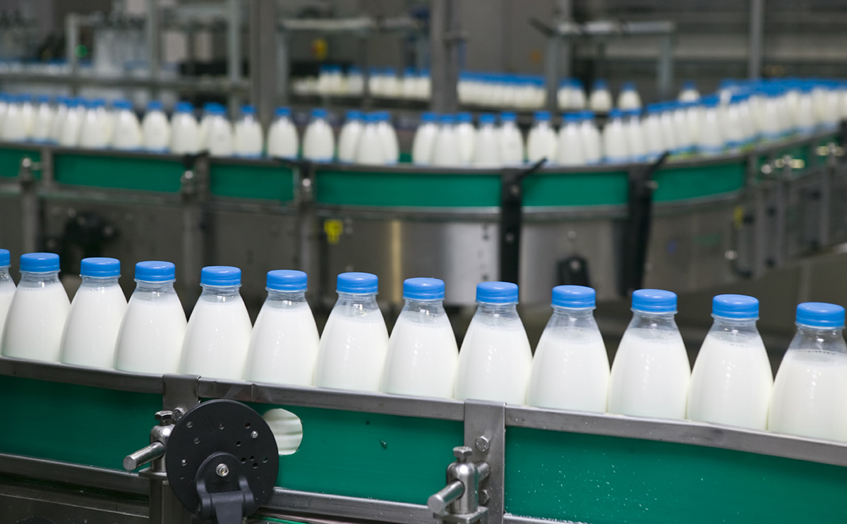 Bottles of milk on a conveyer belt