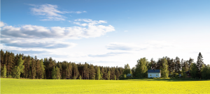 A green field, a forest of trees, and a bright blue sky