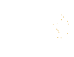 Map overlay showing the sites of coal and gas electricity production