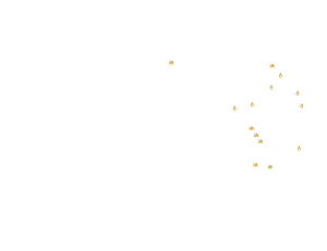 Map overlay showing the sites of coal and gas electricity production